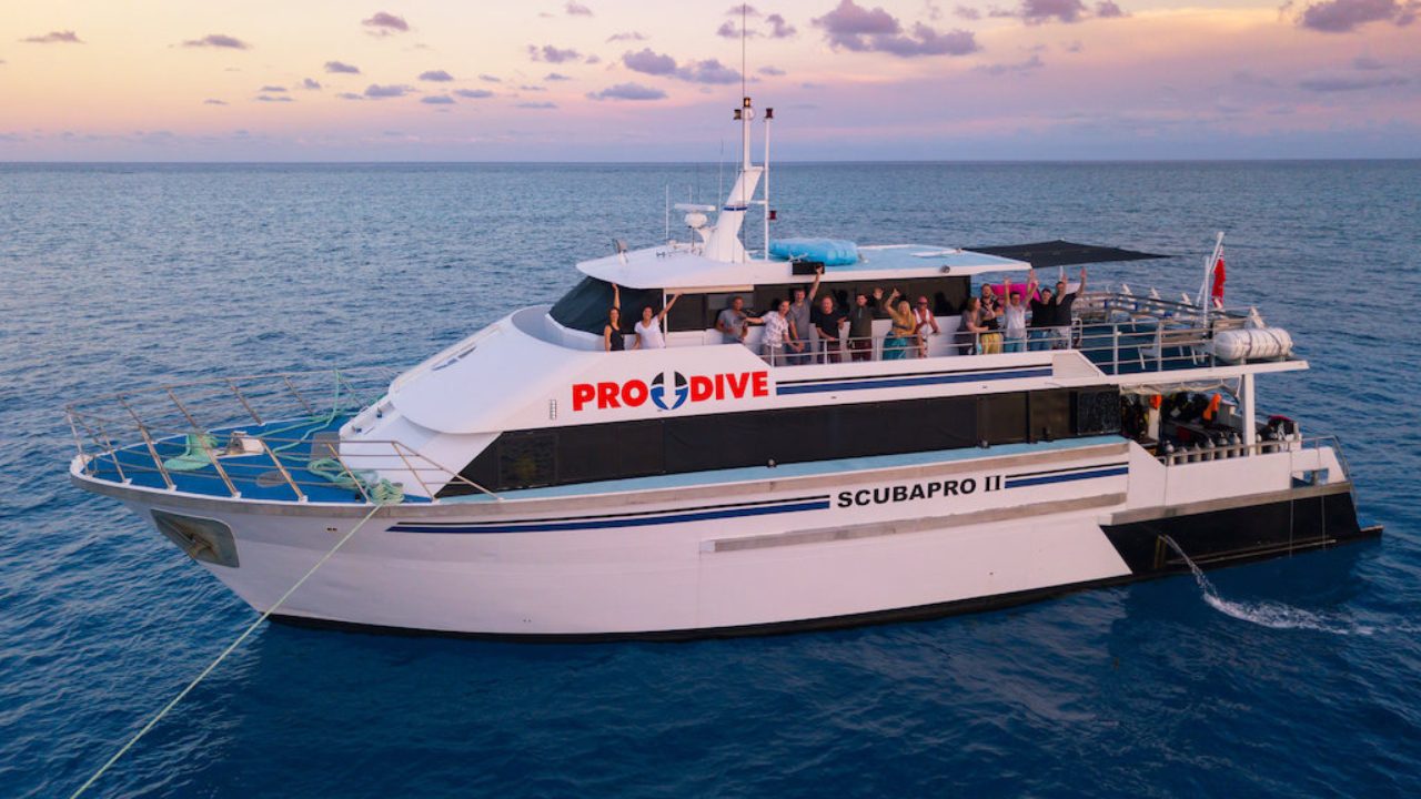 Pro Dive Cairns Great Barrier Reef