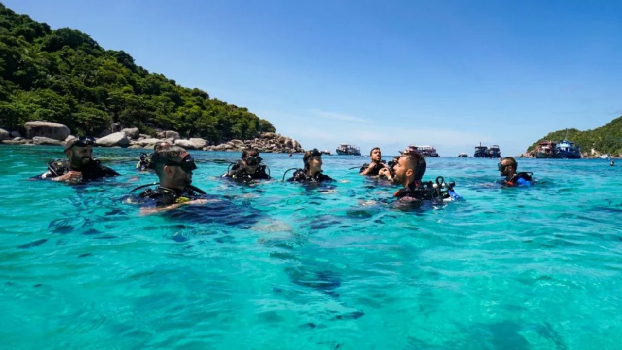 Diving conditions in Koh Tao