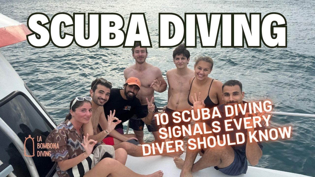 10 Scuba Diving Signals Every Diver Should Know