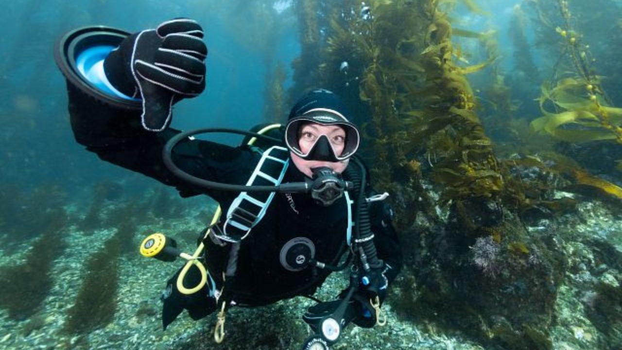 Diver making up/down signal underwater