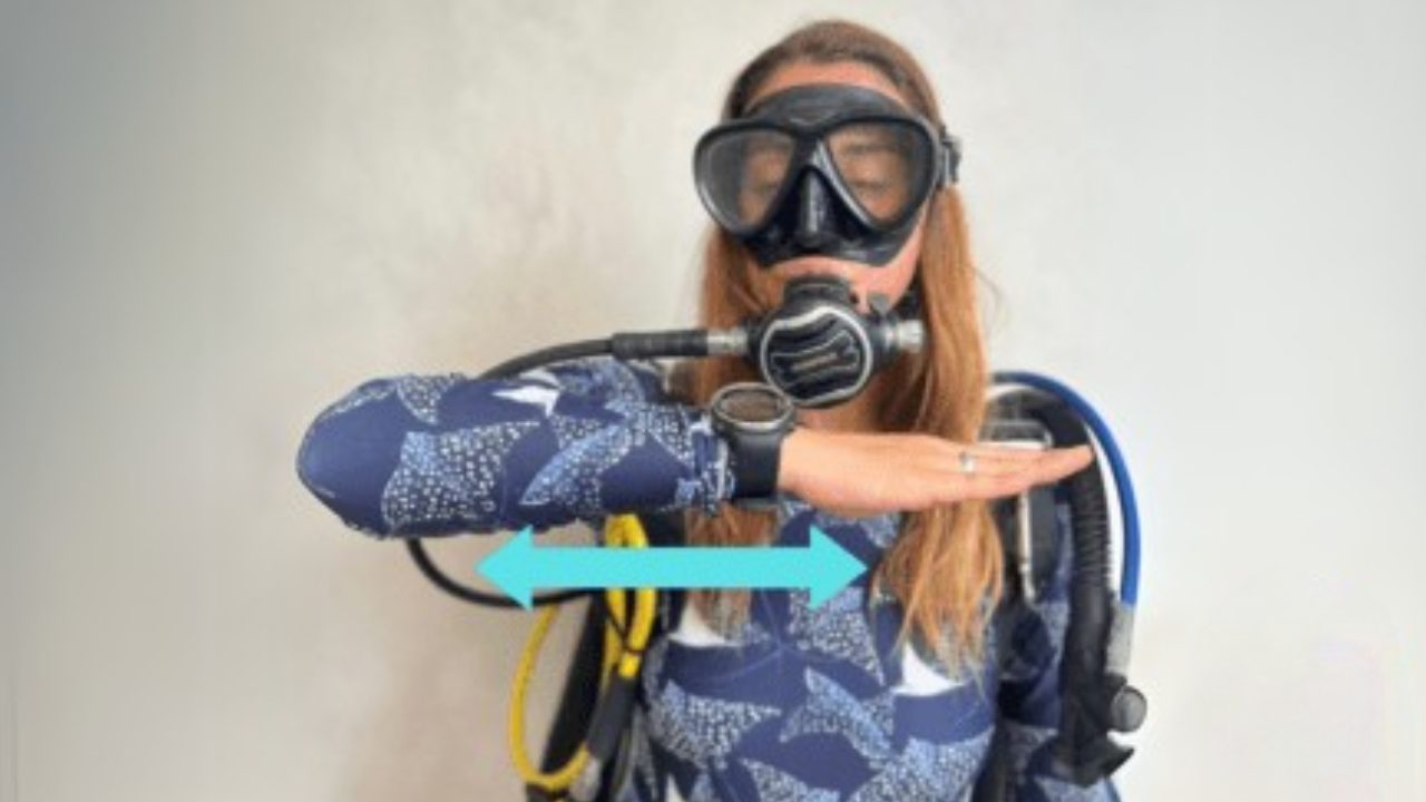 Diver making out of air signal underwater