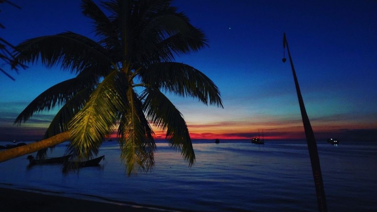 Koh Tao diving scene