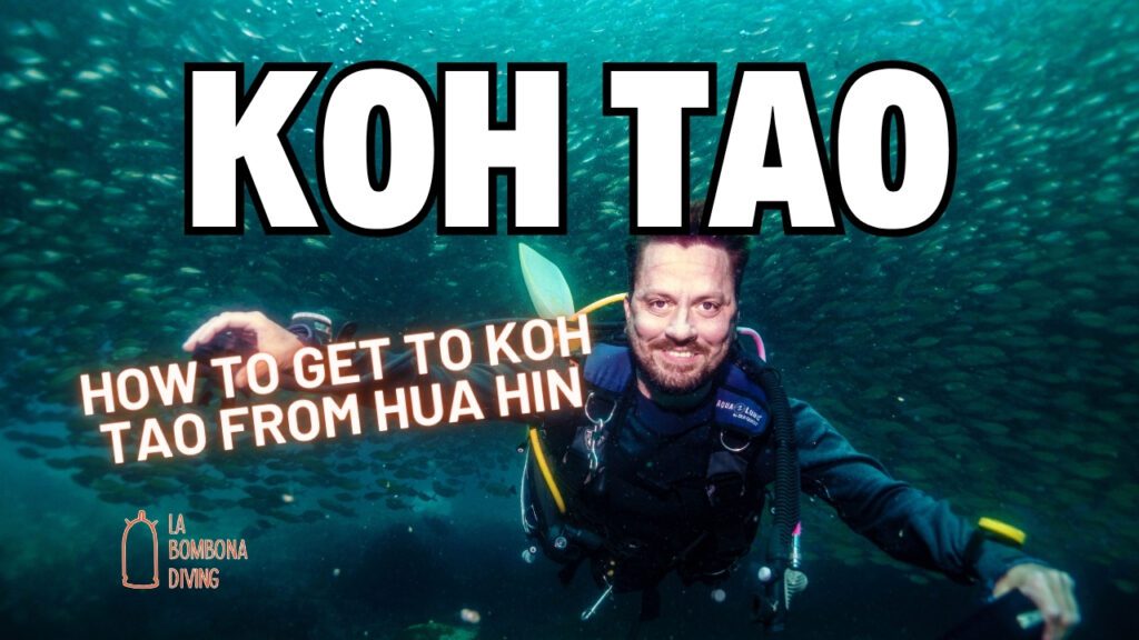 How To Get To Koh Tao From Hua Hin