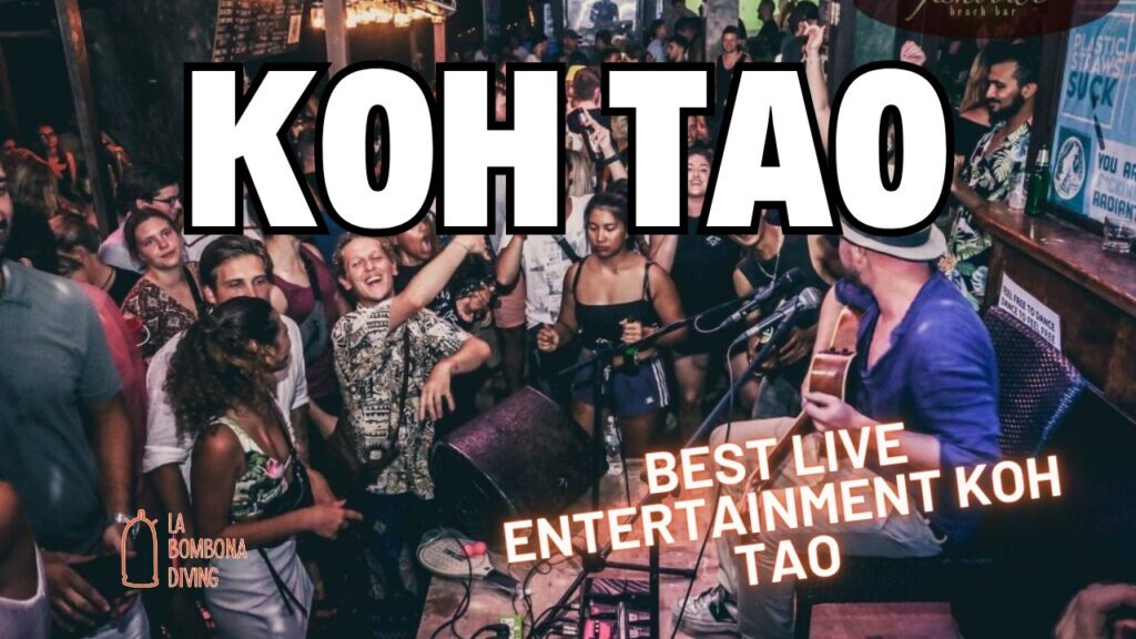 Best Live Entertainment Koh Tao