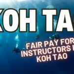 Fair Pay For Instructors In Koh Tao