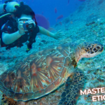 Mastering Dive Etiquettes: Essential Tips for a Safe and Respectful Dive