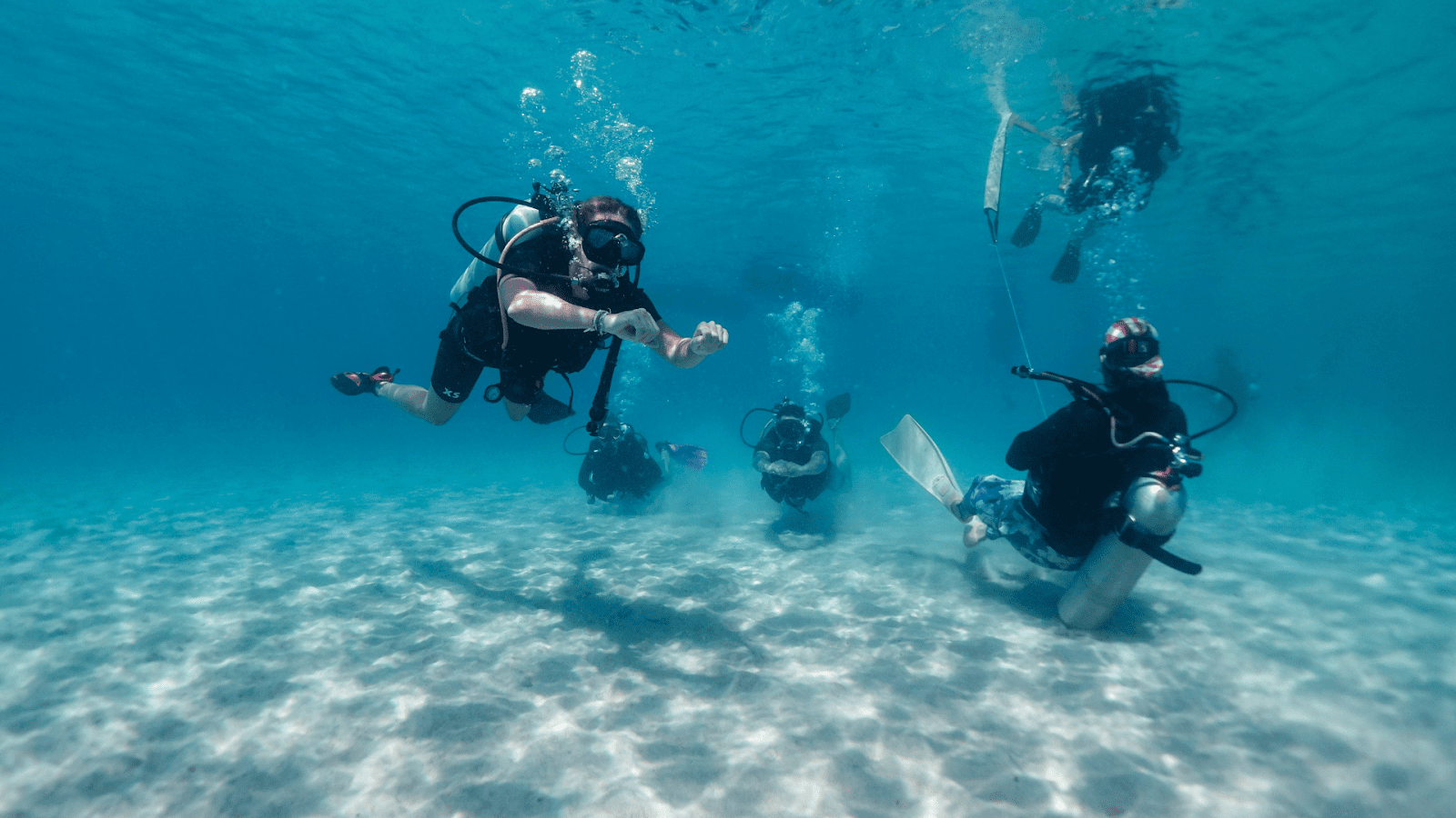 Experienced divers swimming underwater in Koh Tao