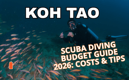 how budget influences your overall scuba diving experience blog featured image