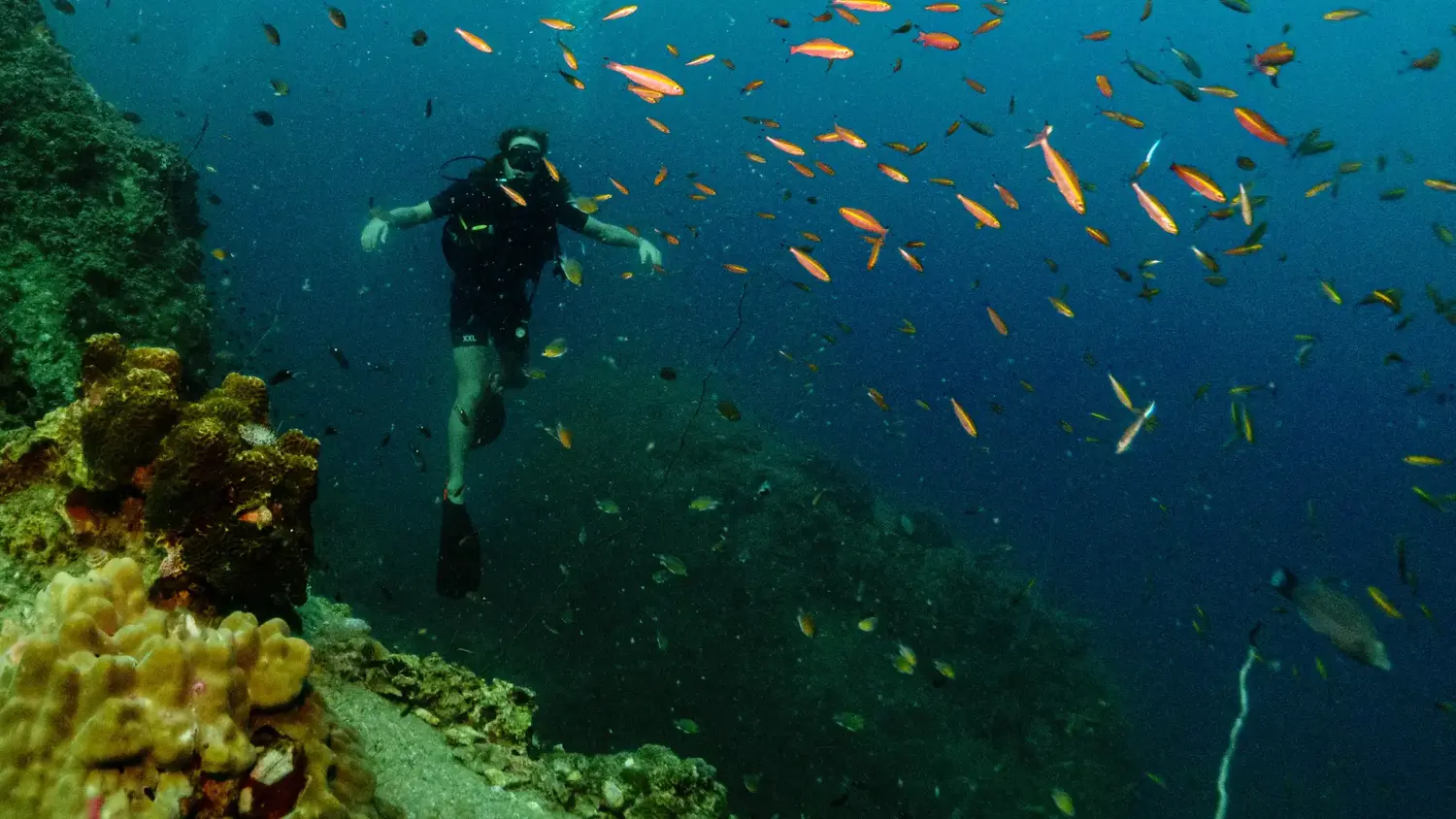 Beginner diving underwater in Koh Tao