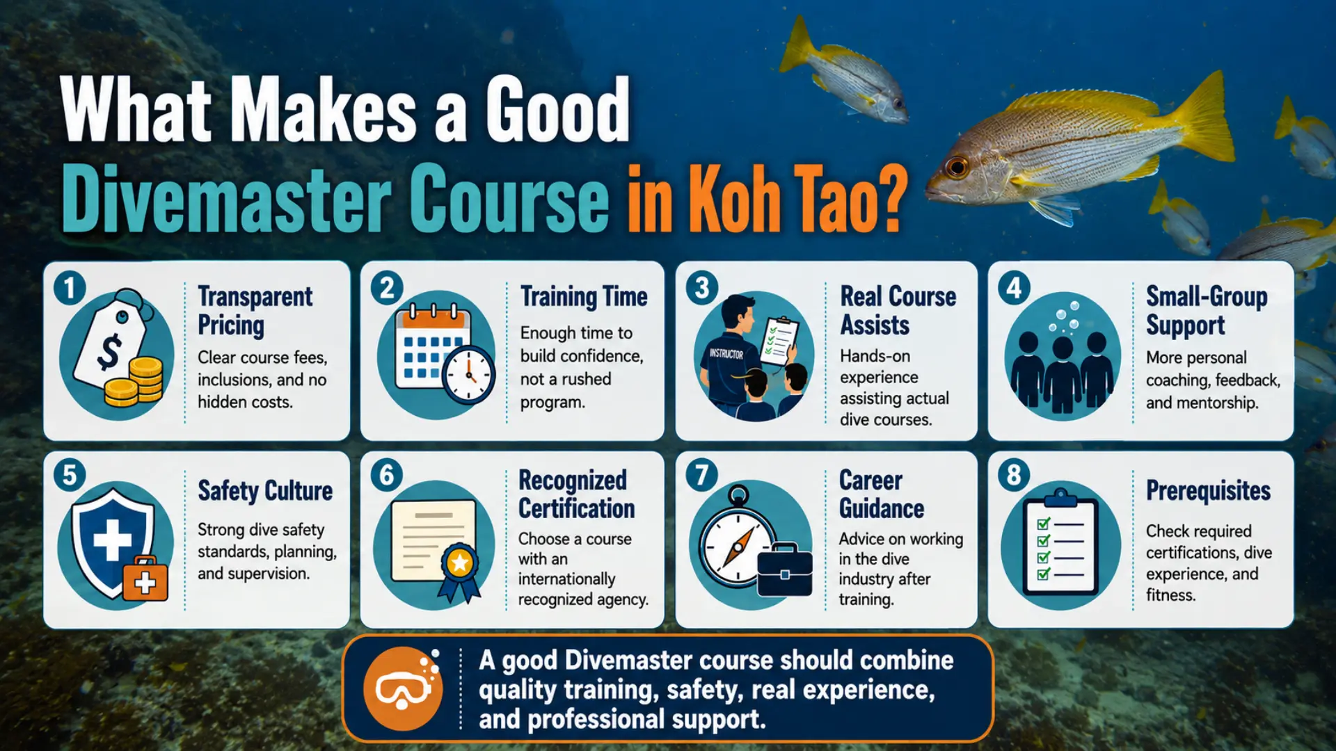 A good Divemaster course should include quality training, safety, real experiences, and professional support