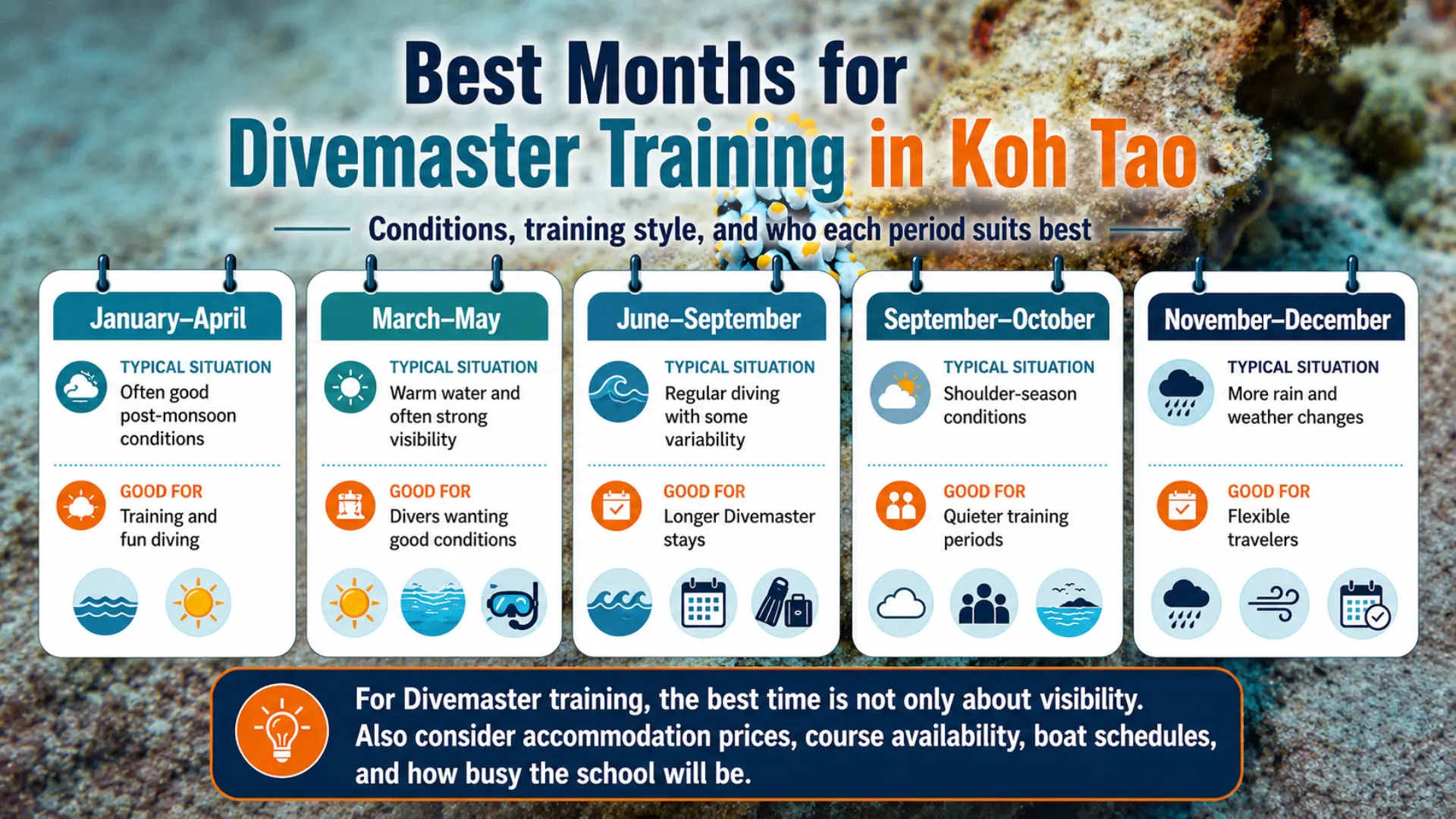 Best months for divemaster training in Koh Tao