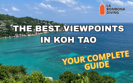 The Best Viewpoints in Koh Tao Your Complete Guide