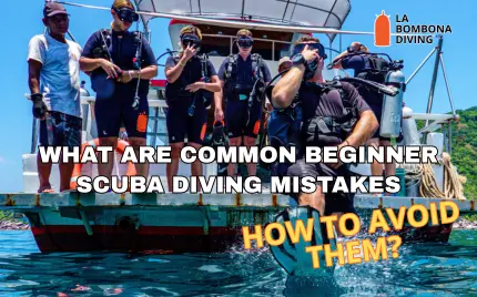 What Are Common Beginner Scuba Diving Mistakes And How To Avoid Them?
