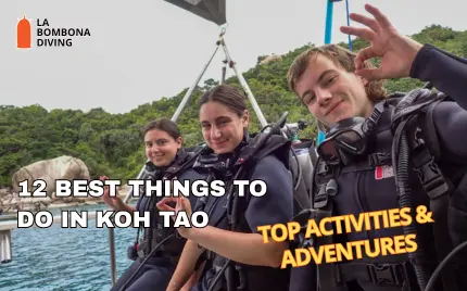 12 Best Things to Do in Koh Tao (2026): Top Activities & Adventures