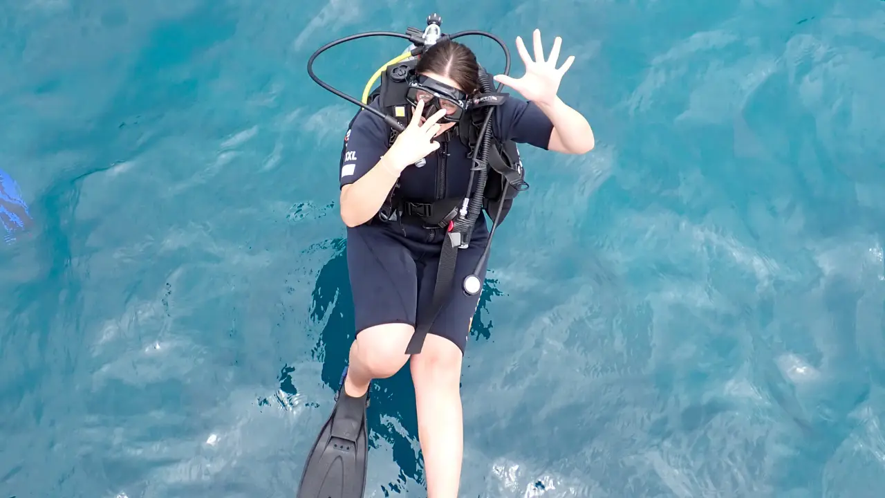 Unseen Snorkeling Tours