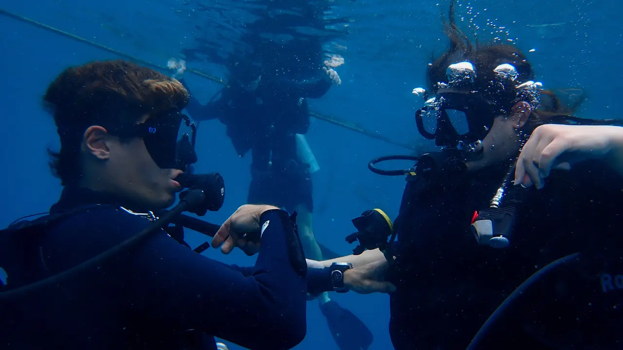 Experience These Beaches from Below the Surface