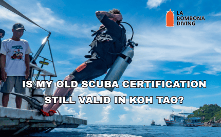 Is My Old Scuba Certification Still Valid in Koh Tao