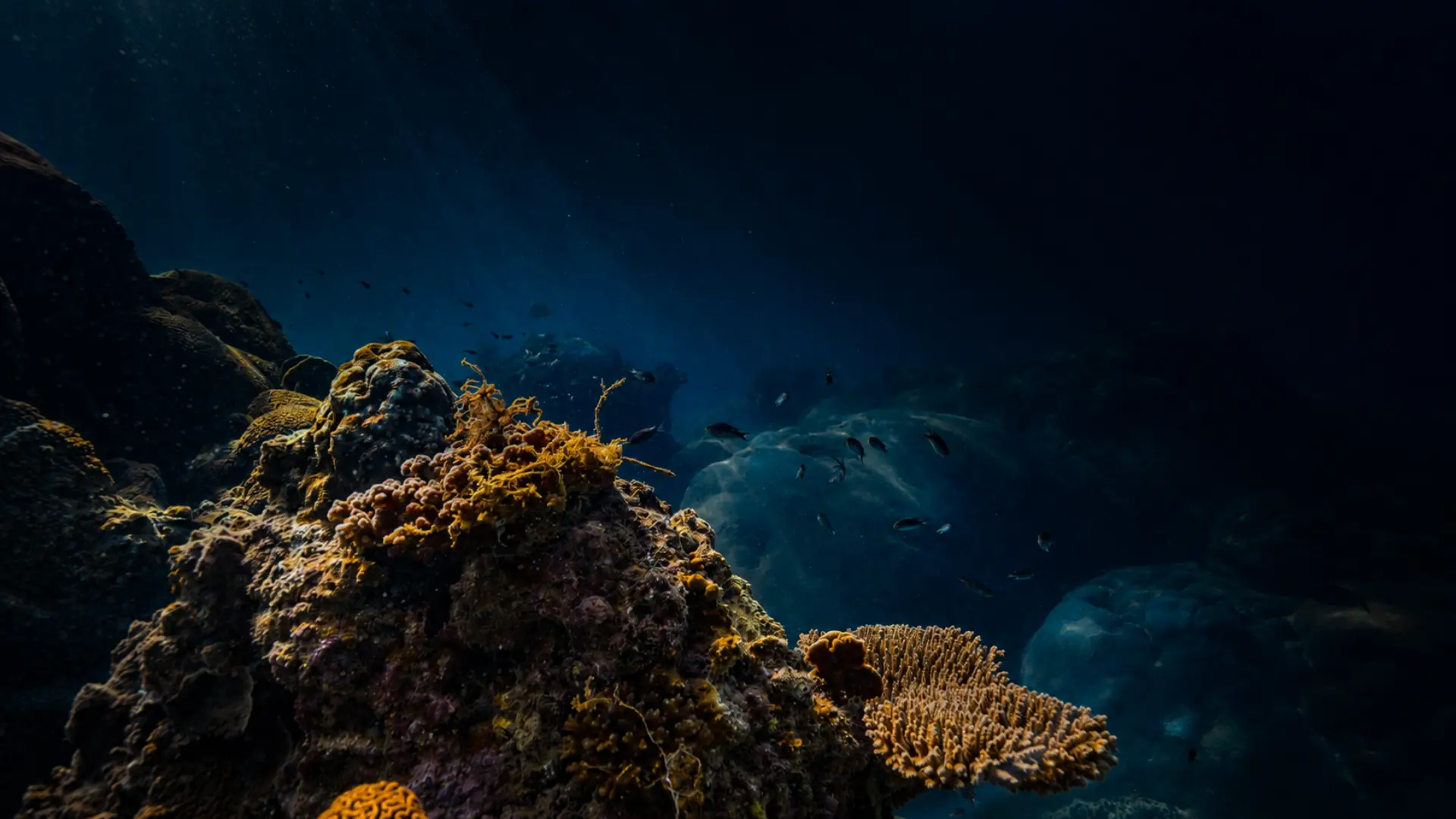 Ocean at Night