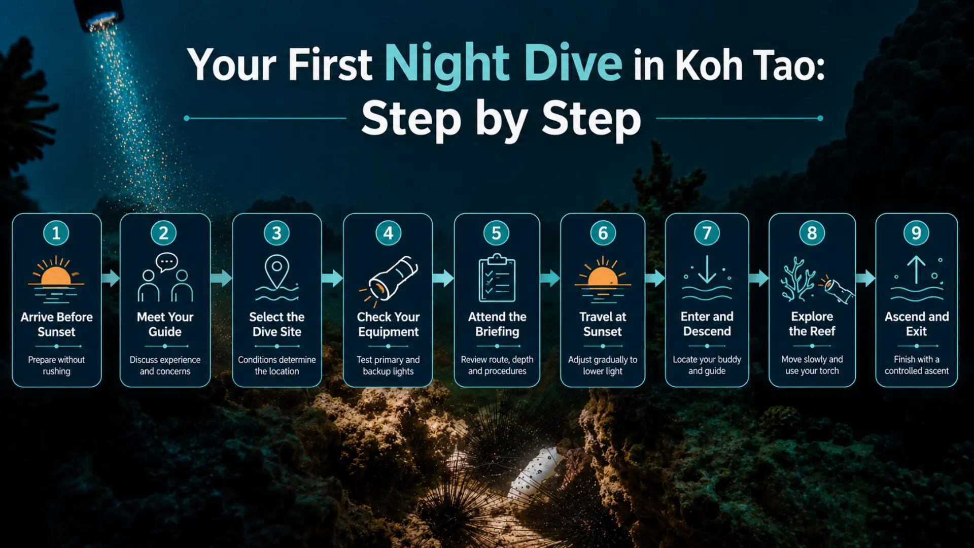 Step-by-Step guide for your first night ive in Koh Tao