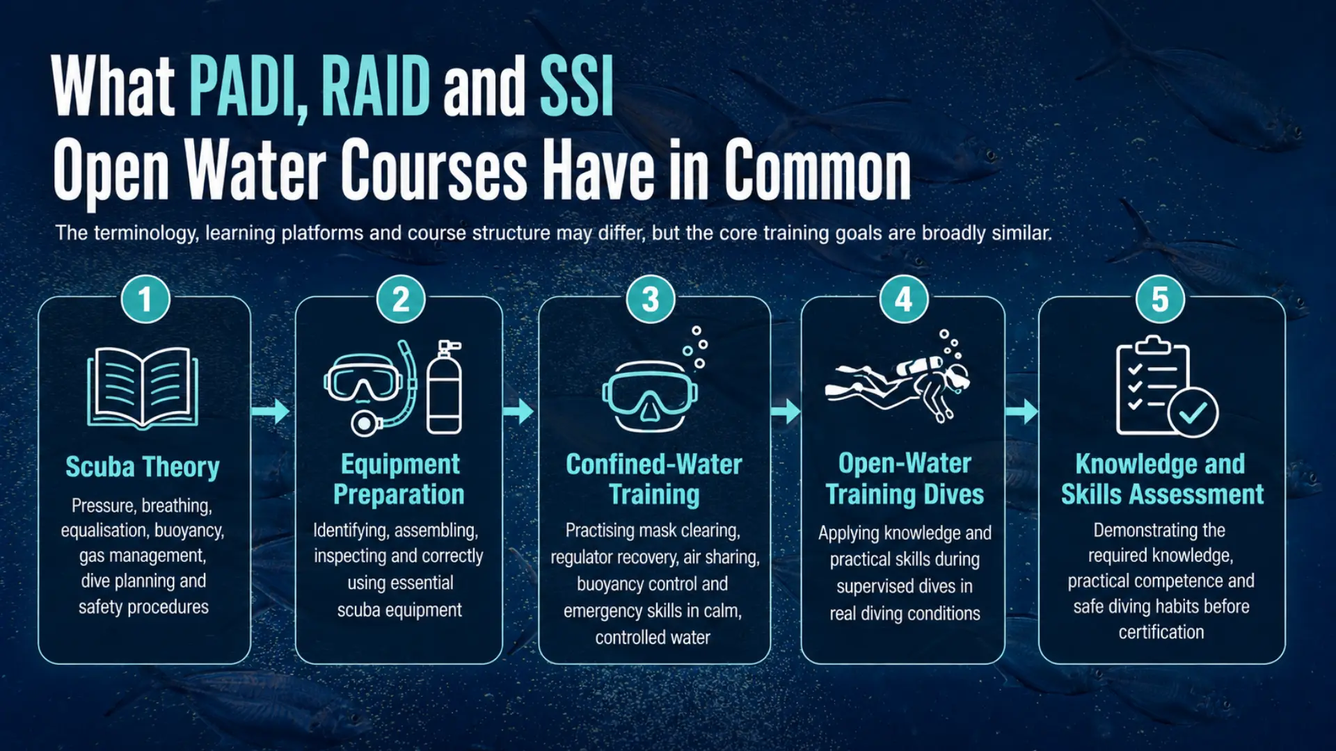 What PADI, RAID, SSI open water courses have in common