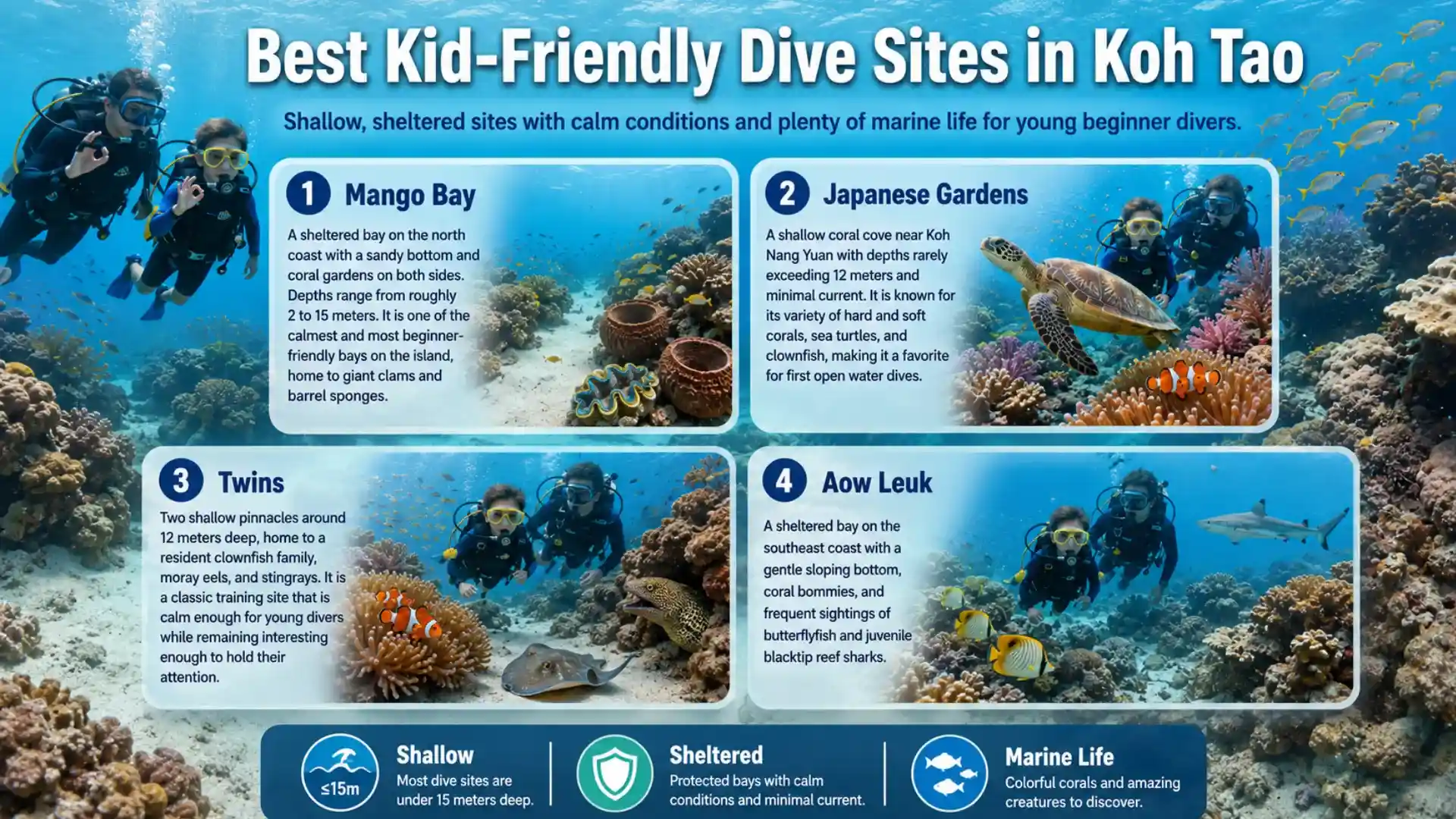 Best Kid-Friendly Dive Sites in