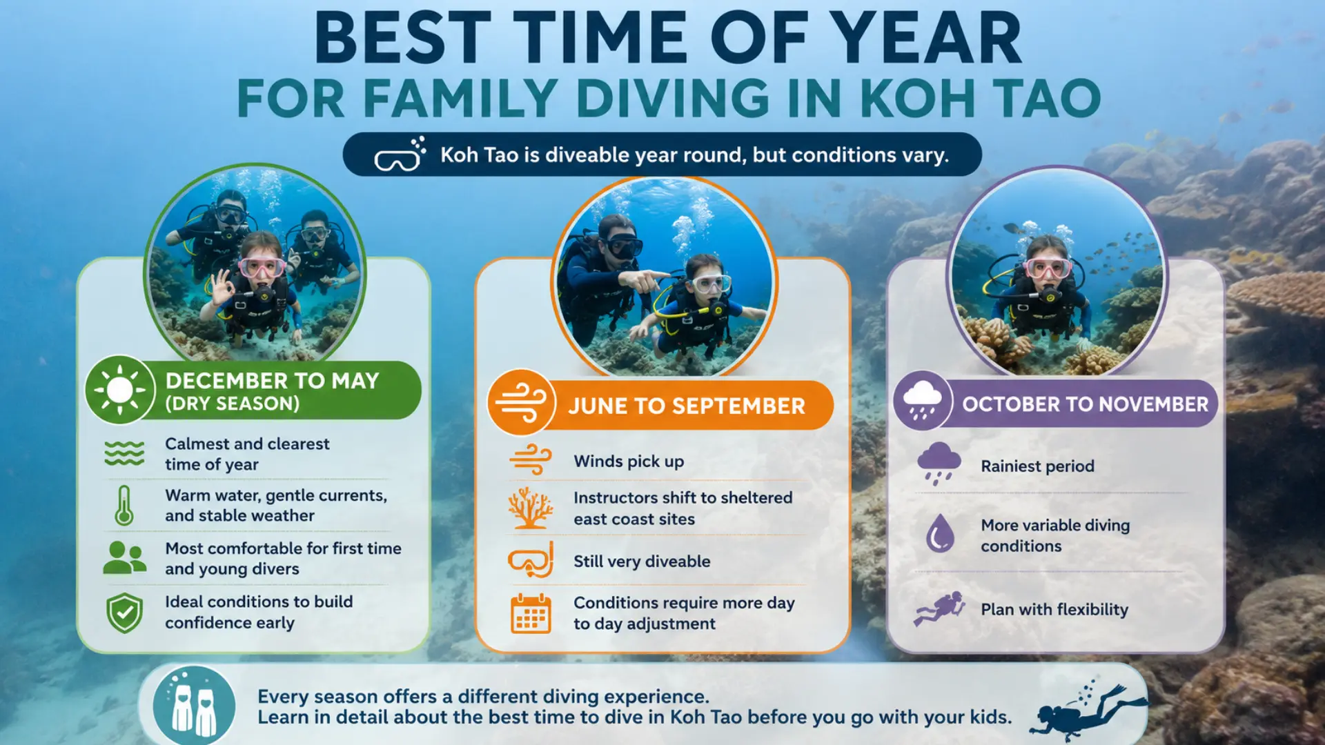Best Time of Year for Family Diving in Koh Tao