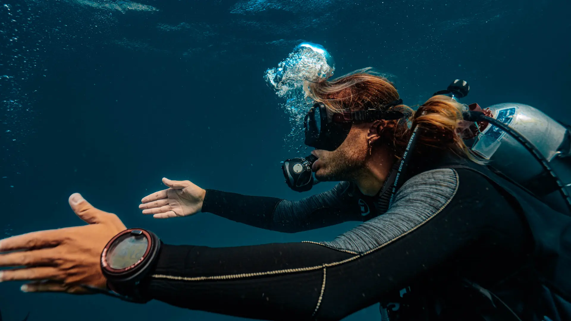 Scuba Diving in Koh Tao