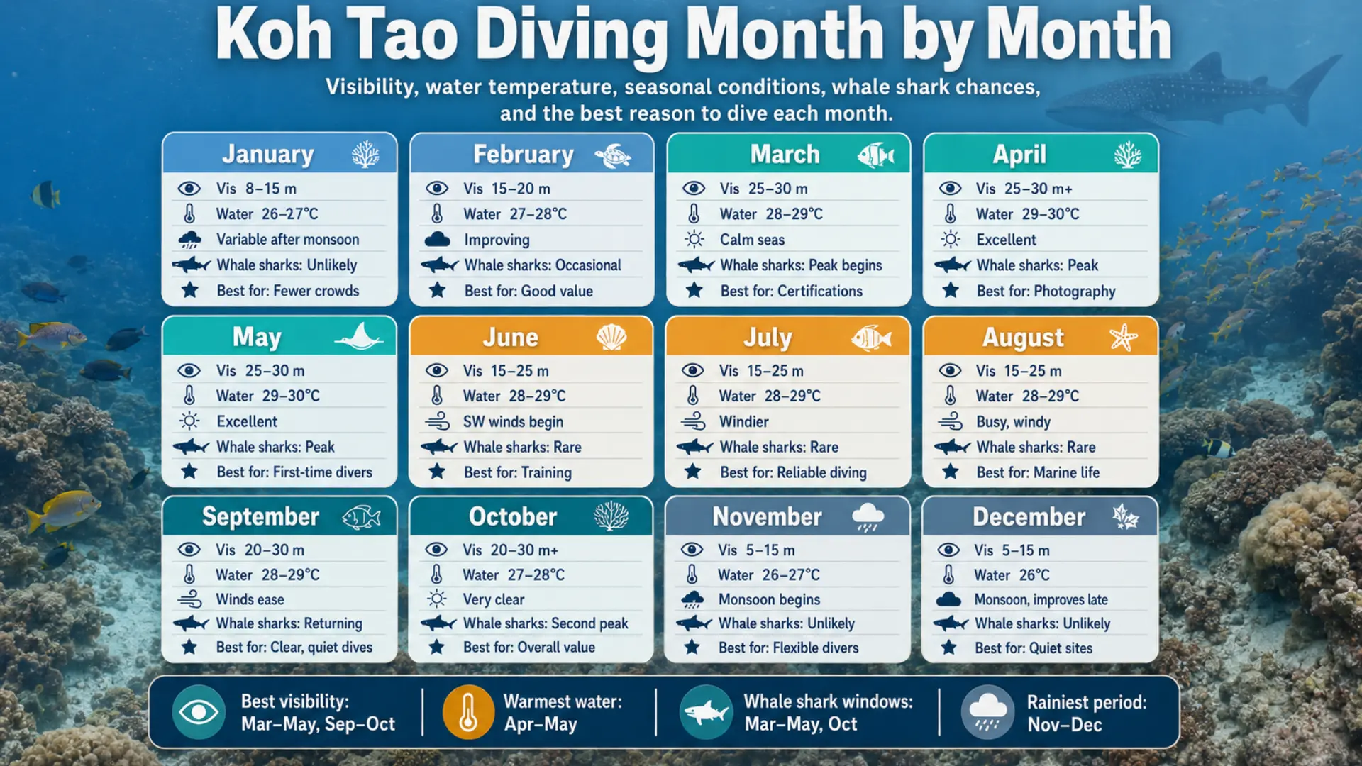 Koh Tao Diving Month by Month