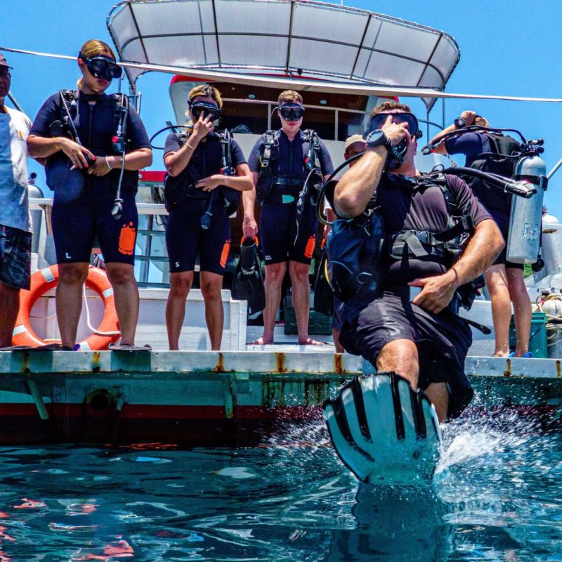 divers entering water