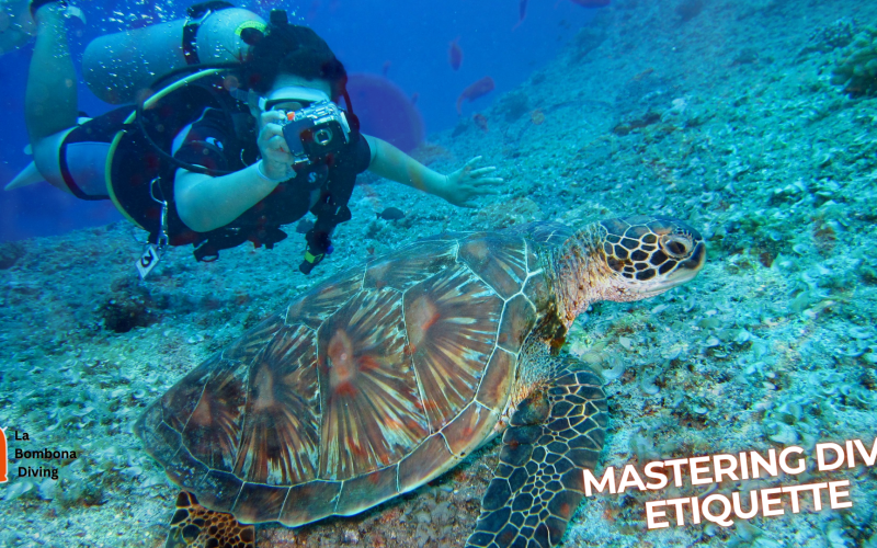 Mastering Dive Etiquette (1)