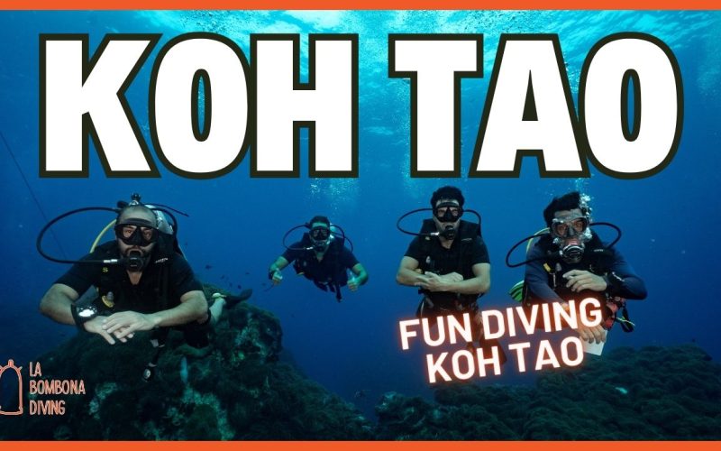 Fun Diving Koh Tao