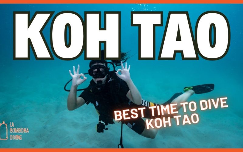 Open Water Thumbnail (1)