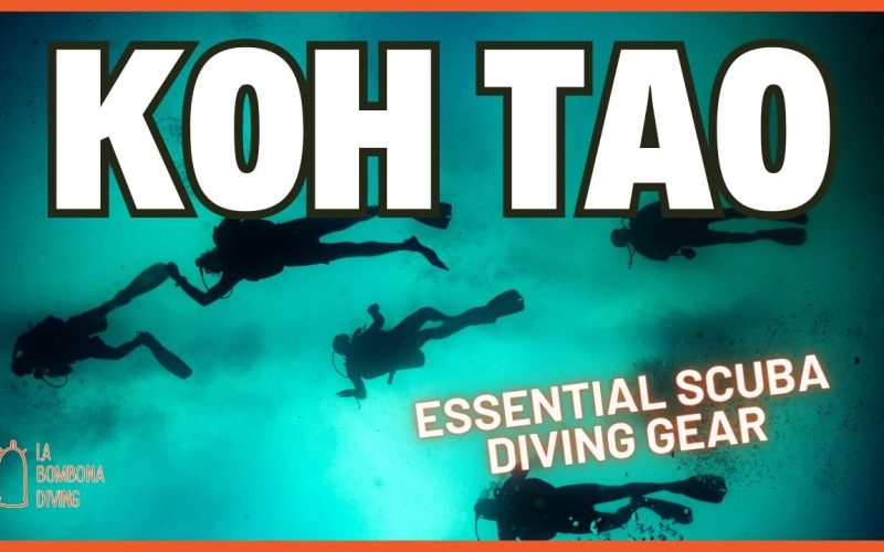 Open Water Thumbnail (1)