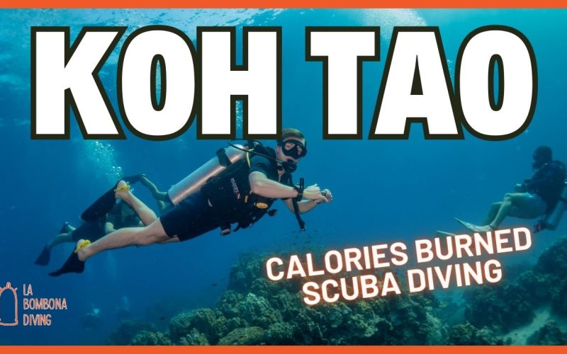 Open Water Thumbnail (1)