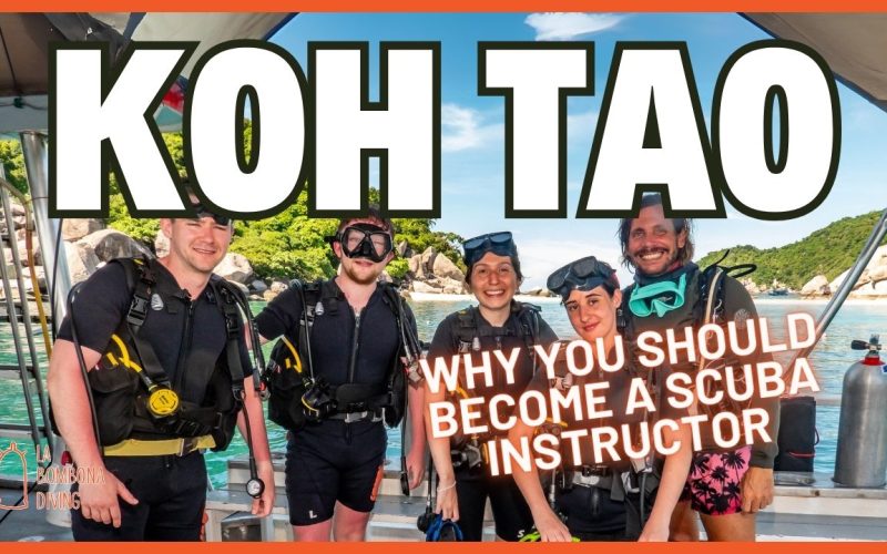 Open Water Thumbnail (1)