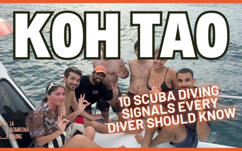 Open Water Thumbnail (1)