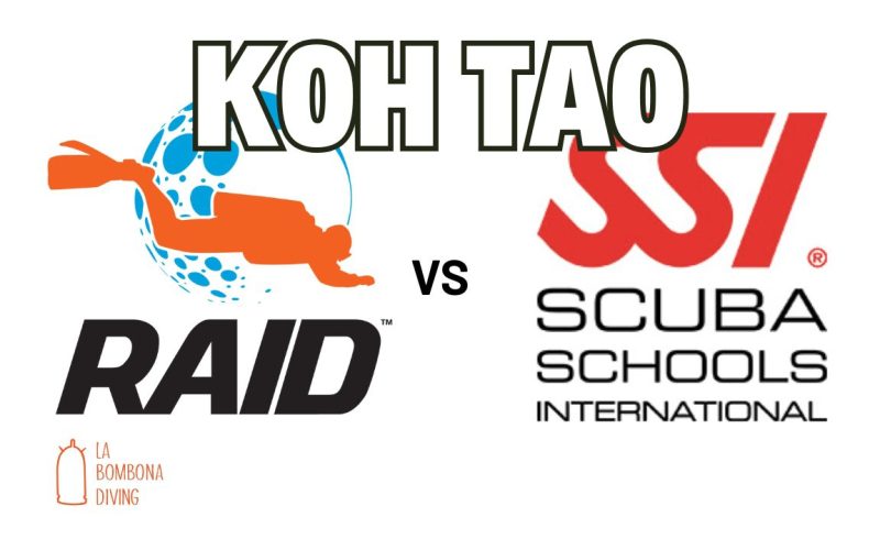 SSI Vs RAID