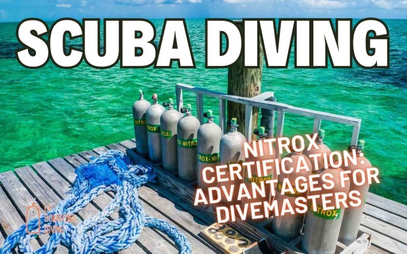 Nitrox Certification: Advantages for Divemasters