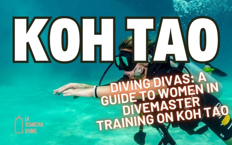 Diving Divas: A Guide to Women in Divemaster Training on Koh Tao