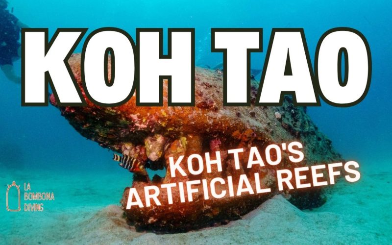 Koh Tao's Artificial Reefs