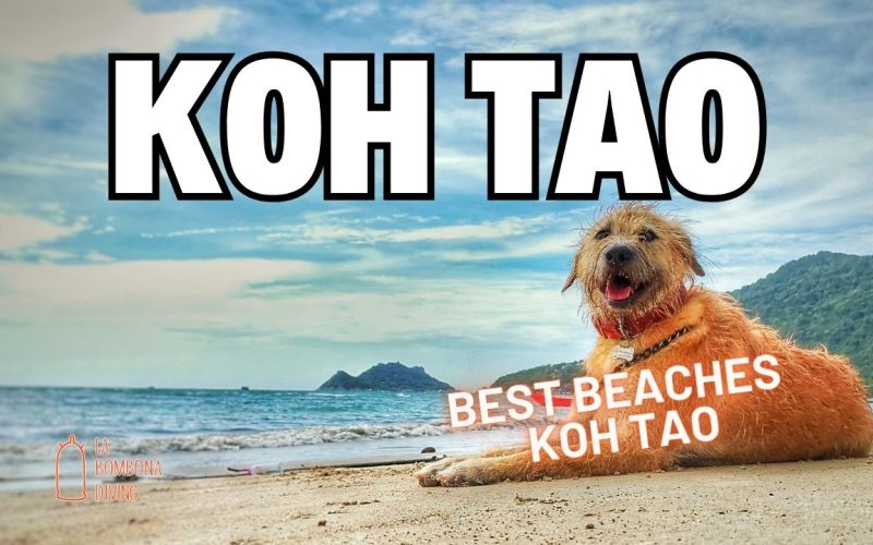 Best Beaches Koh Tao