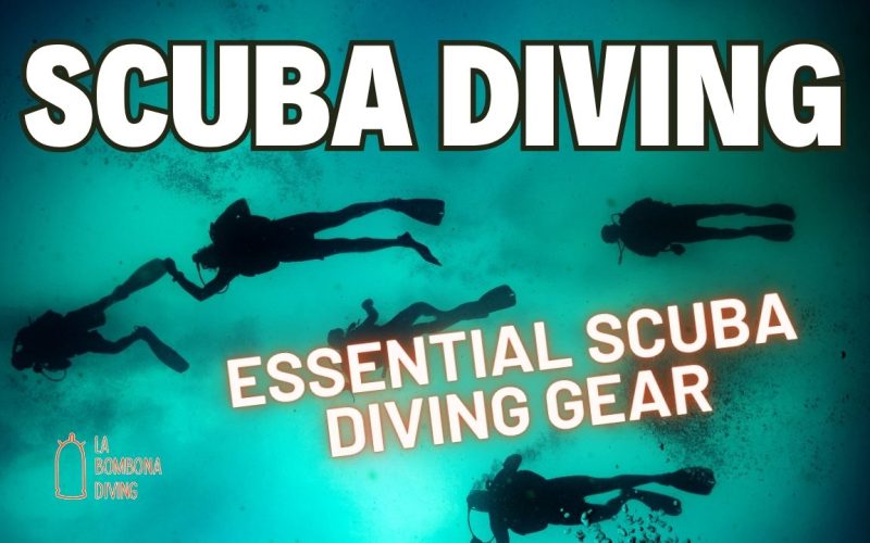 Essential Scuba Diving Gear