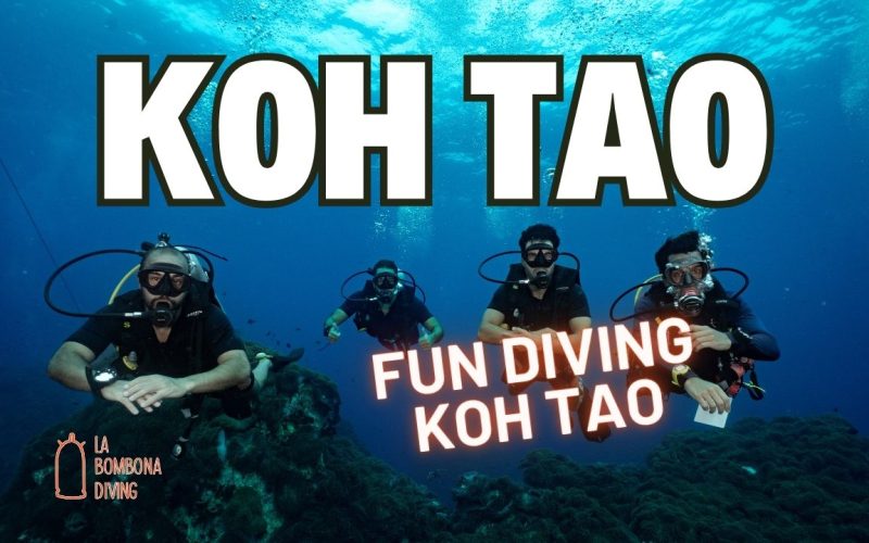 Fun Diving Koh Tao