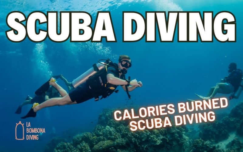 Calories Burned Scuba Diving