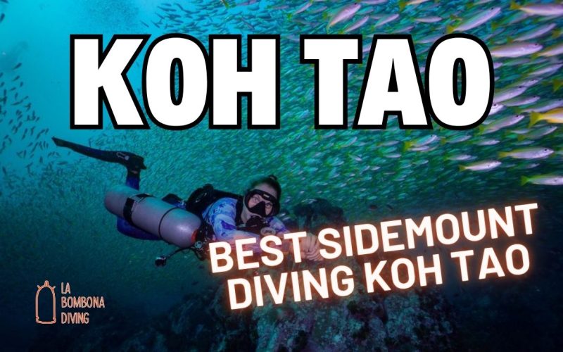 Best Sidemount Diving Koh Tao: Dive Koh Tao Confidently As A Sidemount Diver