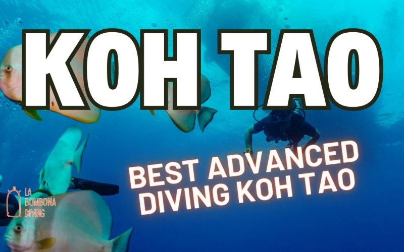Best Advanced Diving Koh Tao
