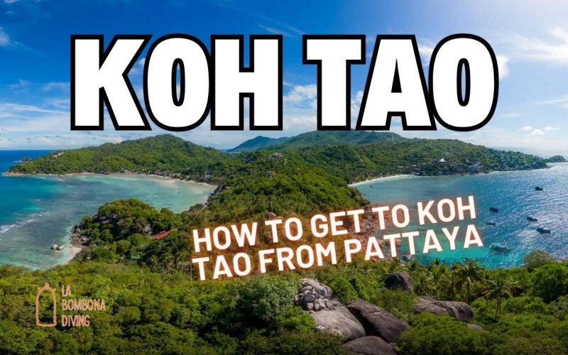 How To Get To Koh Tao From Pattaya