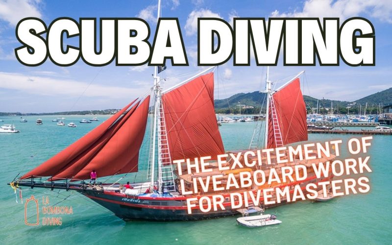 The Excitement of Liveaboard Work for Divemasters