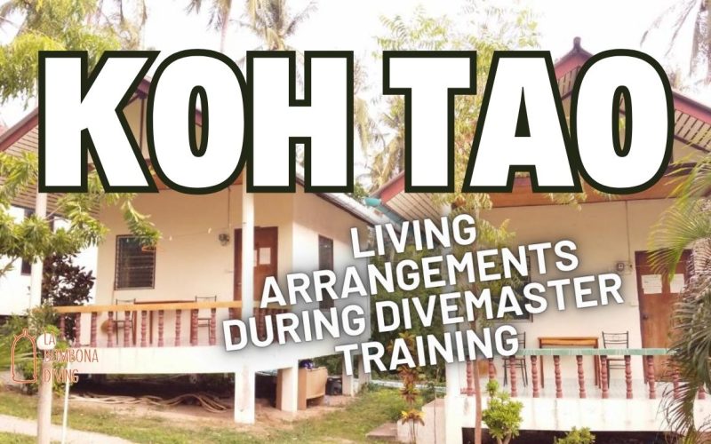 Living Arrangements During Divemaster Training