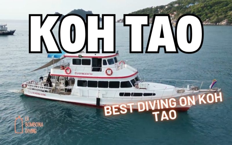 Best Diving Koh Tao